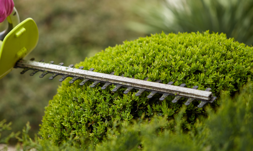 A hedge trimmer cutting a bush