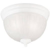2-Light Ceiling Fixture